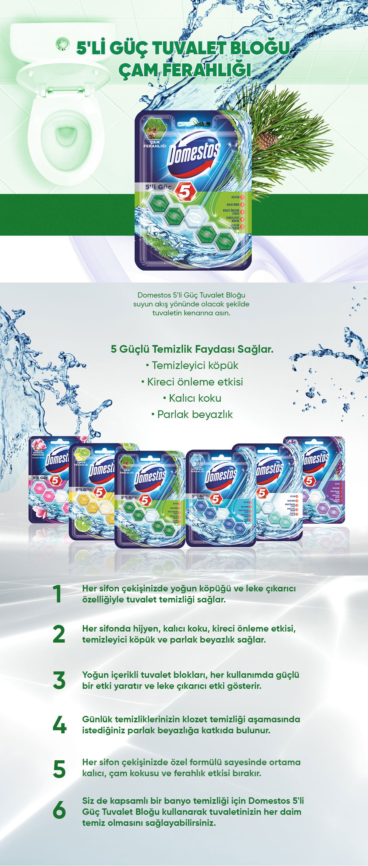 Domestos 5'li Güç Çam Ferahlığı Wc Blok 55 Gr